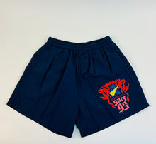 Carregar imagem no visualizador da galeria, The Vault:  Alternativa Pro 93 Boardshorts