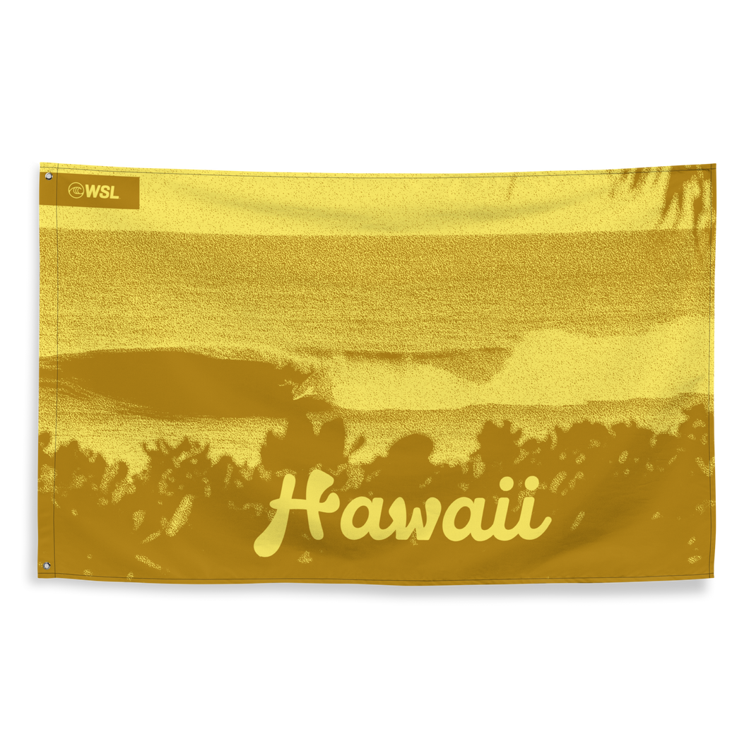 Hawaii Wall Flag