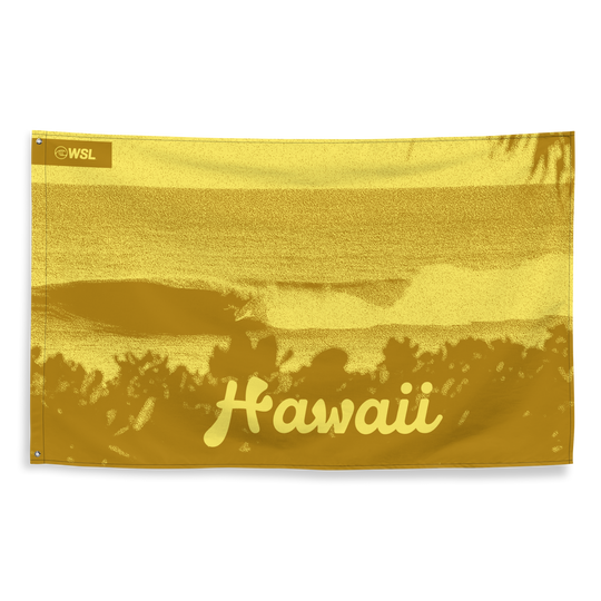 Hawaii Wall Flag