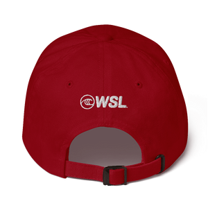 Team USA Hat