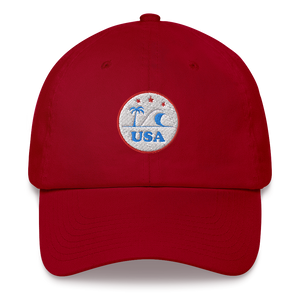 Team USA Hat