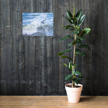 Load image into Gallery viewer, Jadson Andre (BRA) Poster (Unframed): 2014